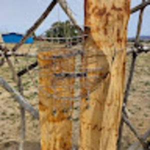 Meet your Posher, Ellen